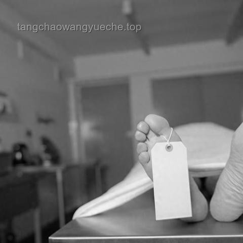 失踪女硕士生育2孩案追踪：了解案件进展与应对策略